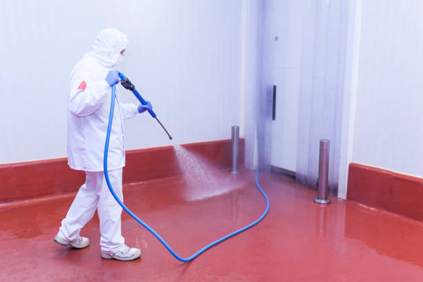 Best Rust Removal  in Angola, NY