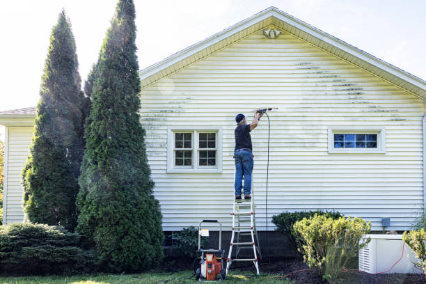 Best Gutter Cleaning  in Angola, NY